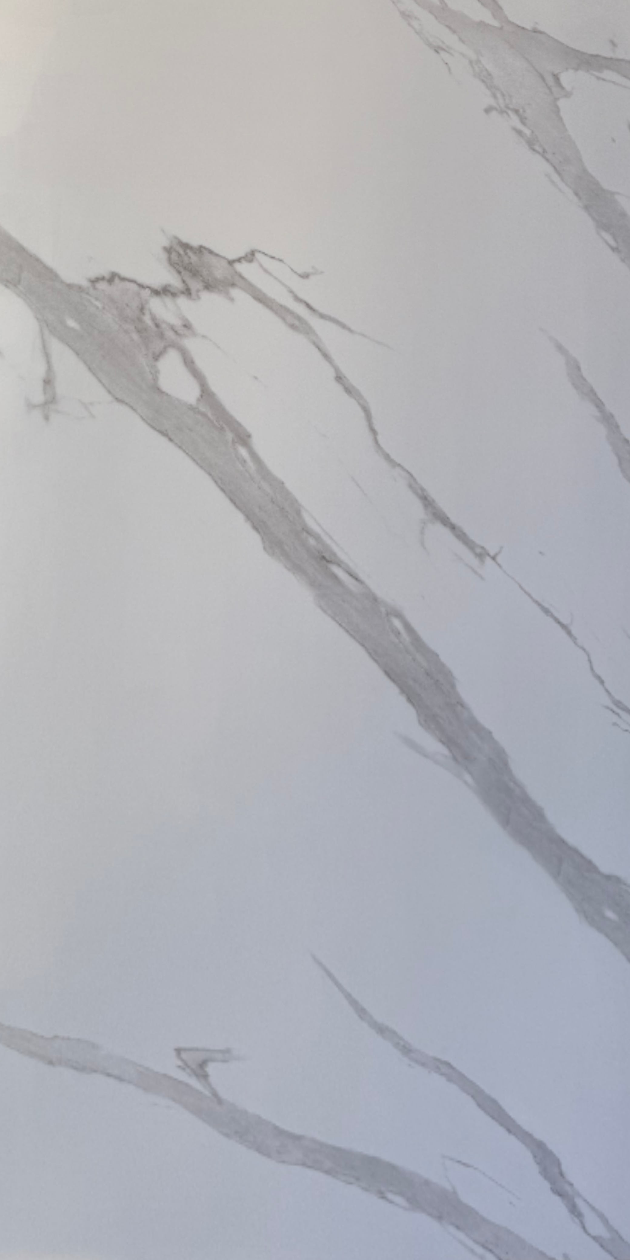559 60 × 120 cm ceramic