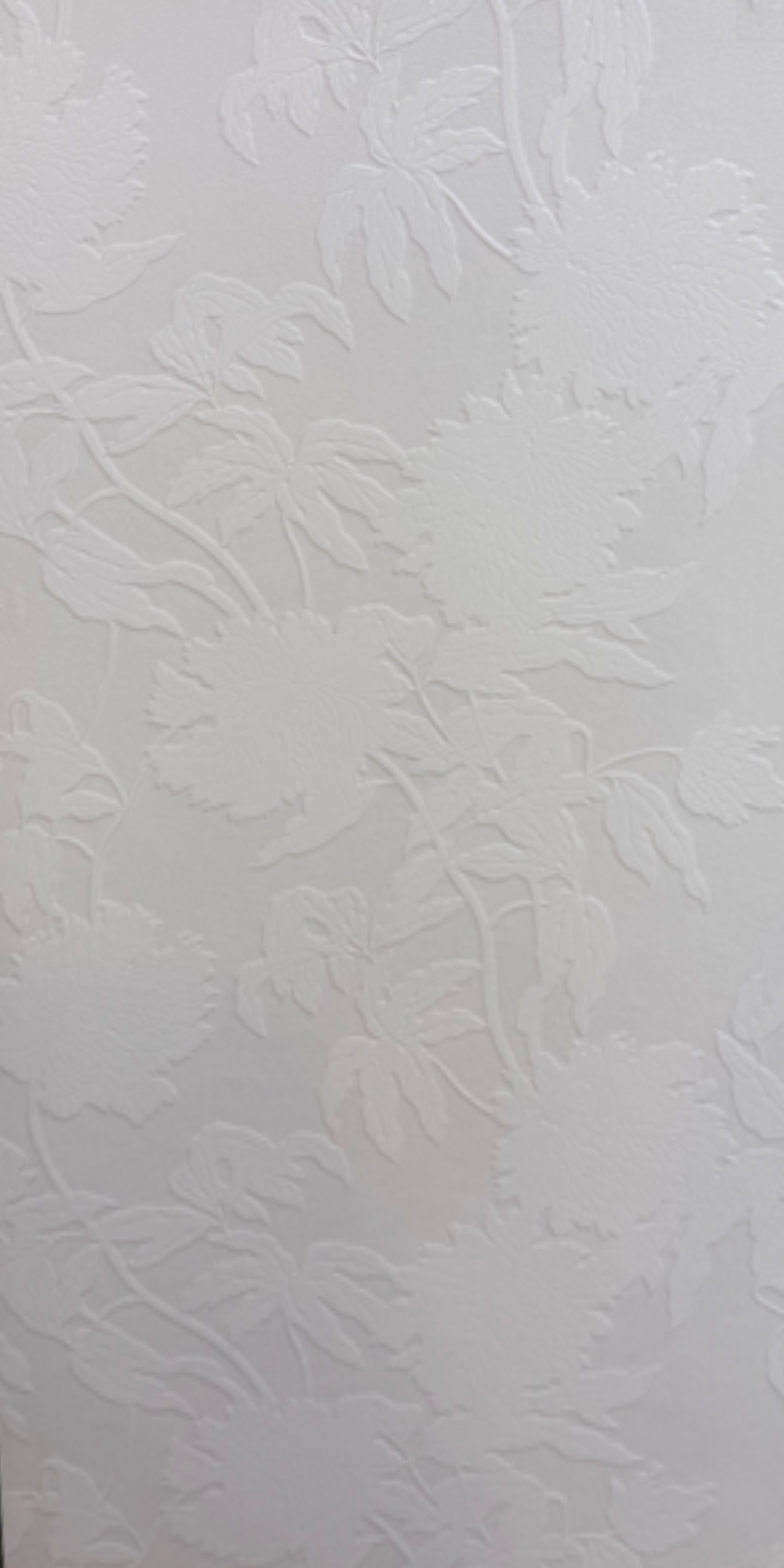 EcLat 60 × 120 cm ceramic