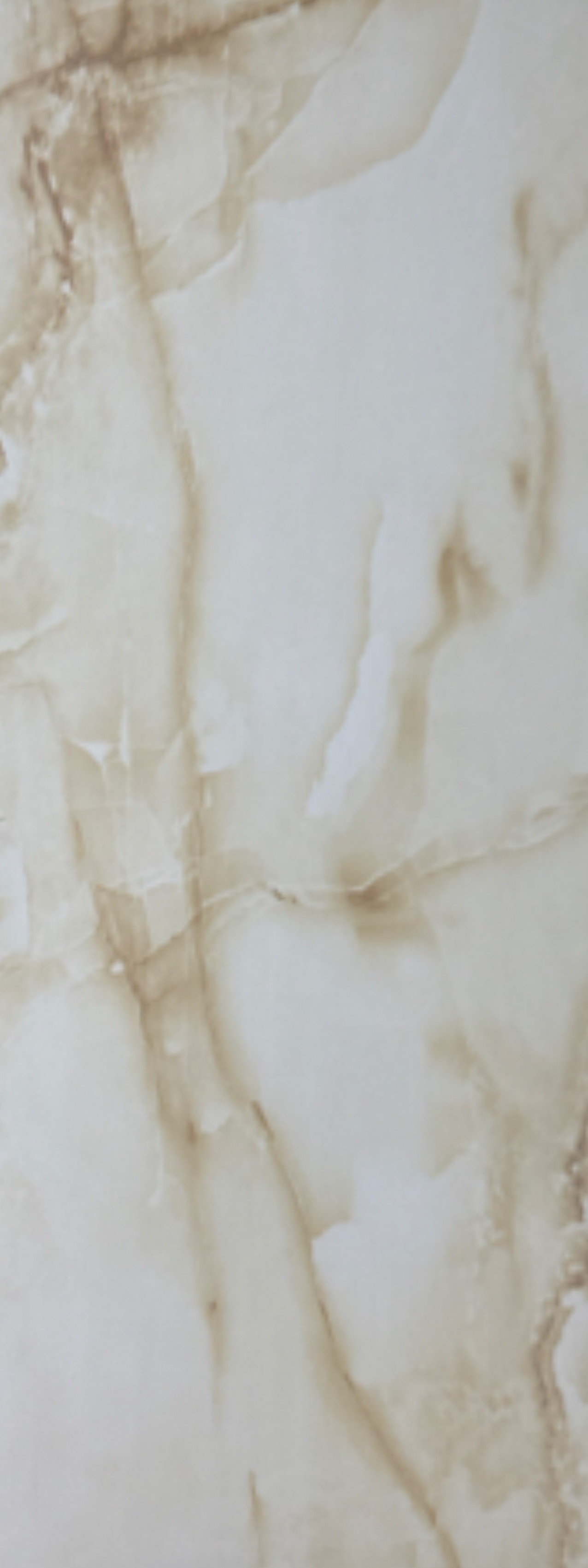 217 main ceramic image